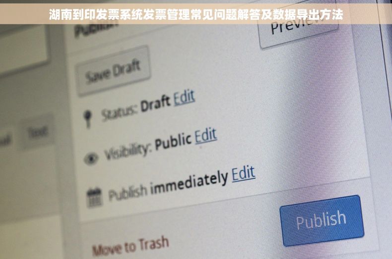 湖南到印发票系统发票管理常见问题解答及数据导出方法