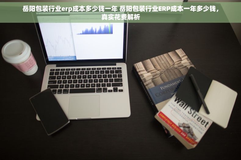 岳阳包装行业erp成本多少钱一年 岳阳包装行业ERP成本一年多少钱，真实花费解析