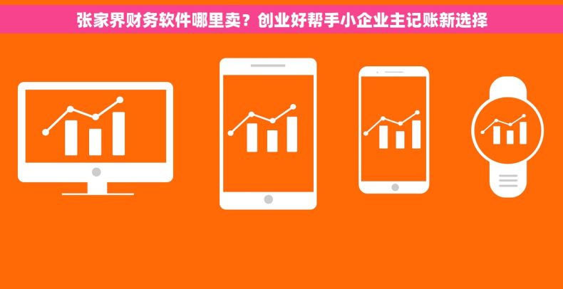 张家界财务软件哪里卖？创业好帮手小企业主记账新选择
