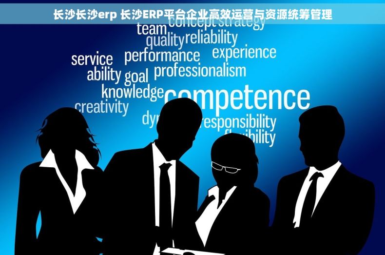 长沙长沙erp 长沙ERP平台企业高效运营与资源统筹管理