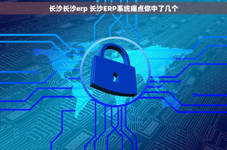 长沙长沙erp 长沙ERP系统痛点你中了几个