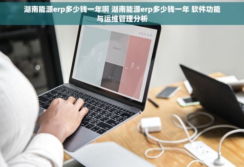 湖南能源erp多少钱一年啊 湖南能源erp多少钱一年 软件功能与运维管理分析