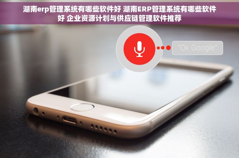 湖南erp管理系统有哪些软件好 湖南ERP管理系统有哪些软件好 企业资源计划与供应链管理软件推荐