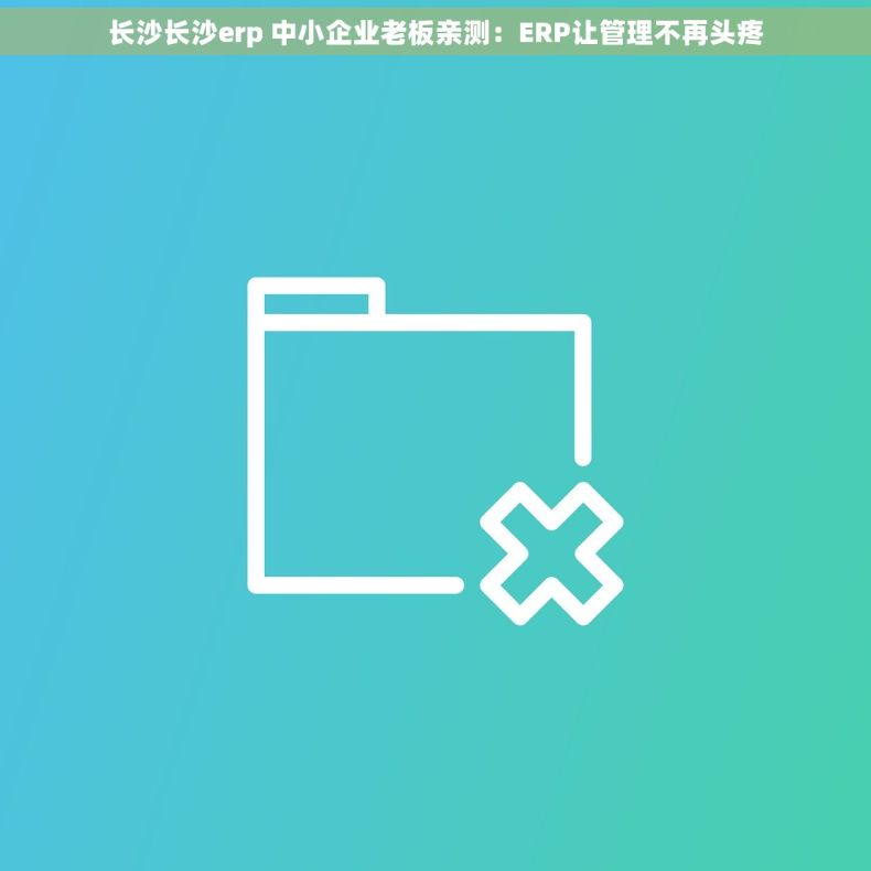 长沙长沙erp 中小企业老板亲测：ERP让管理不再头疼