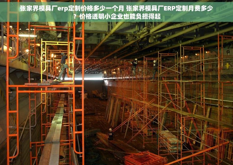 张家界模具厂erp定制价格多少一个月 张家界模具厂ERP定制月费多少？价格透明小企业也能负担得起