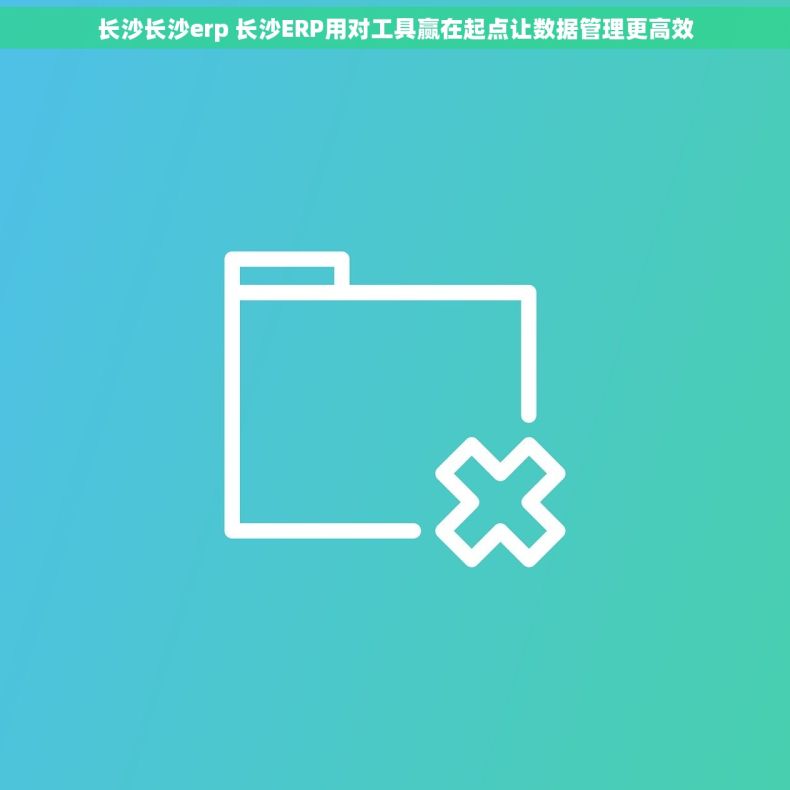 长沙长沙erp 长沙ERP用对工具赢在起点让数据管理更高效