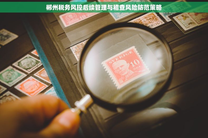 郴州税务风控后续管理与稽查风险防范策略