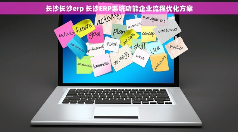 长沙长沙erp 长沙ERP系统功能企业流程优化方案