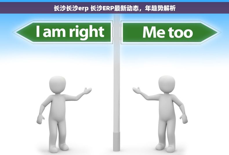 长沙长沙erp 长沙ERP最新动态，年趋势解析