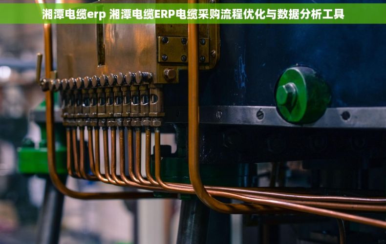 湘潭电缆erp 湘潭电缆ERP电缆采购流程优化与数据分析工具