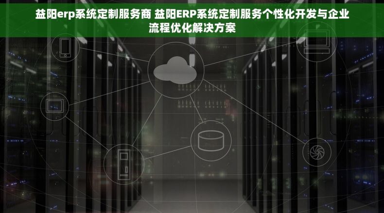 益阳erp系统定制服务商 益阳ERP系统定制服务个性化开发与企业流程优化解决方案