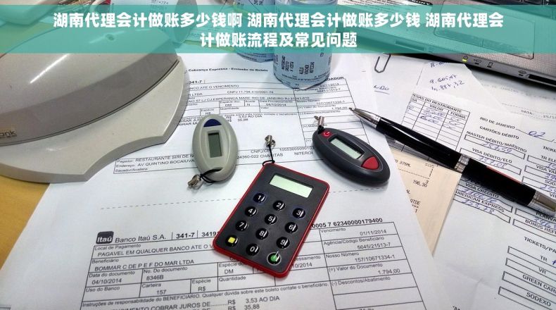 湖南代理会计做账多少钱啊 湖南代理会计做账多少钱 湖南代理会计做账流程及常见问题