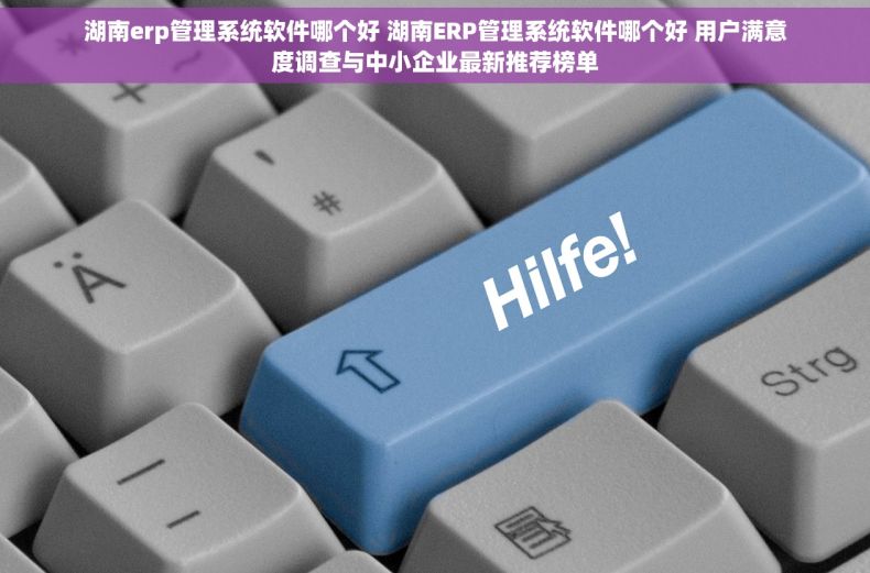 湖南erp管理系统软件哪个好 湖南ERP管理系统软件哪个好 用户满意度调查与中小企业最新推荐榜单