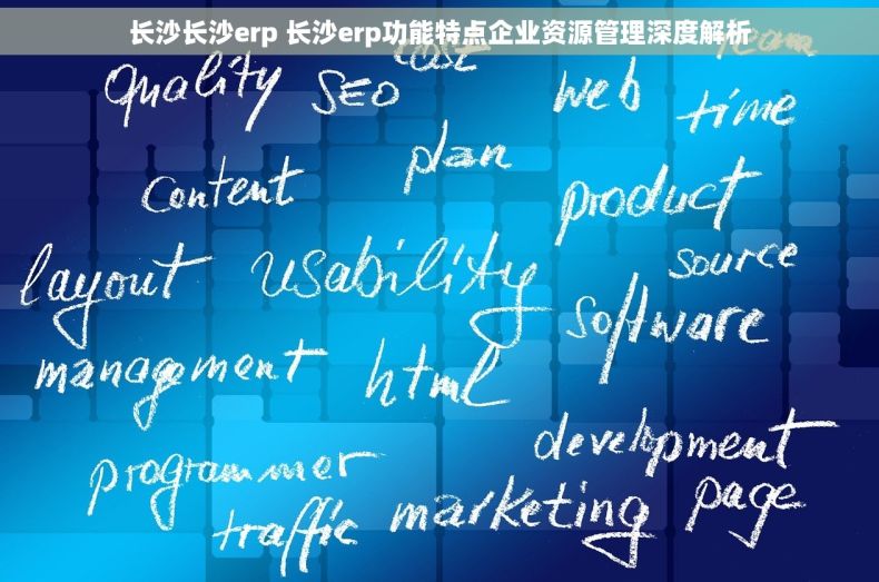 长沙长沙erp 长沙erp功能特点企业资源管理深度解析
