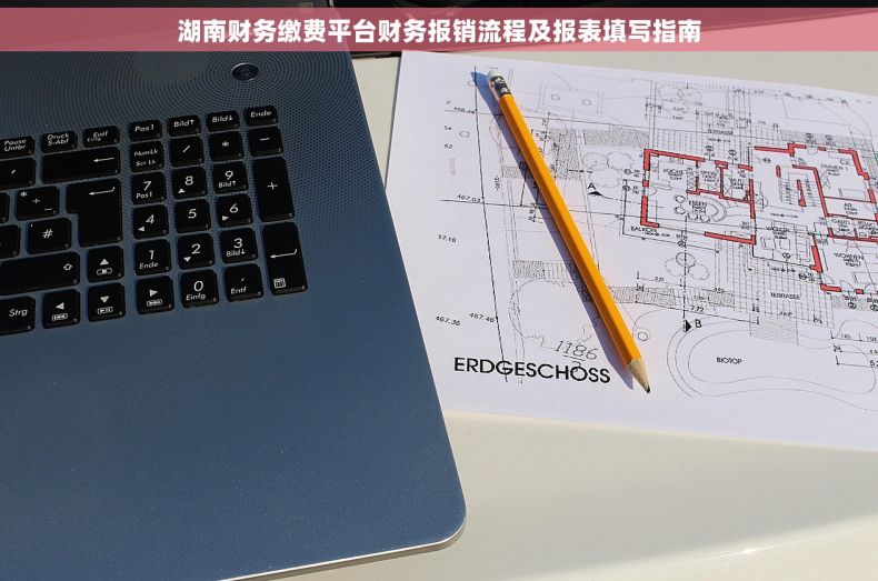 湖南财务缴费平台财务报销流程及报表填写指南