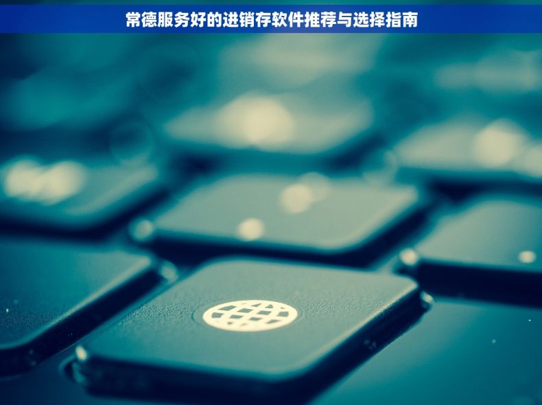 常德服务好的进销存软件推荐与选择指南