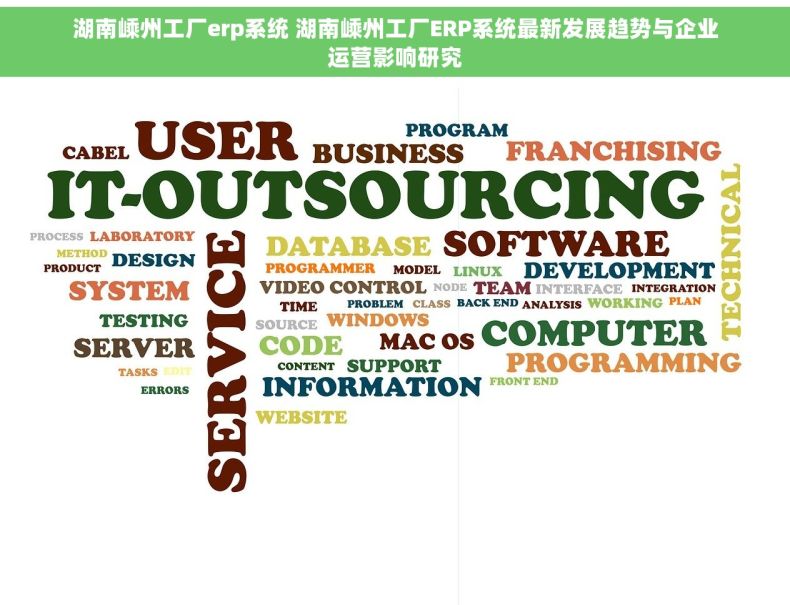 湖南嵊州工厂erp系统 湖南嵊州工厂ERP系统最新发展趋势与企业运营影响研究