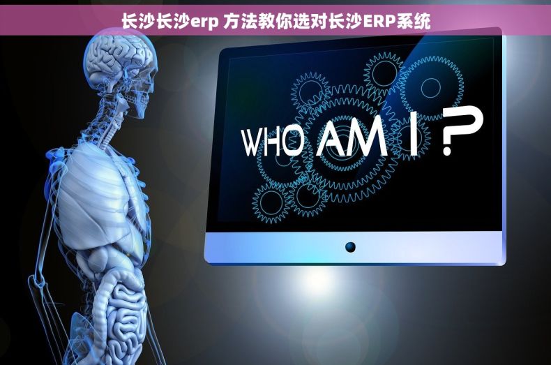长沙长沙erp 方法教你选对长沙ERP系统