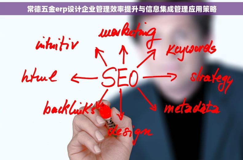 常德五金erp设计企业管理效率提升与信息集成管理应用策略