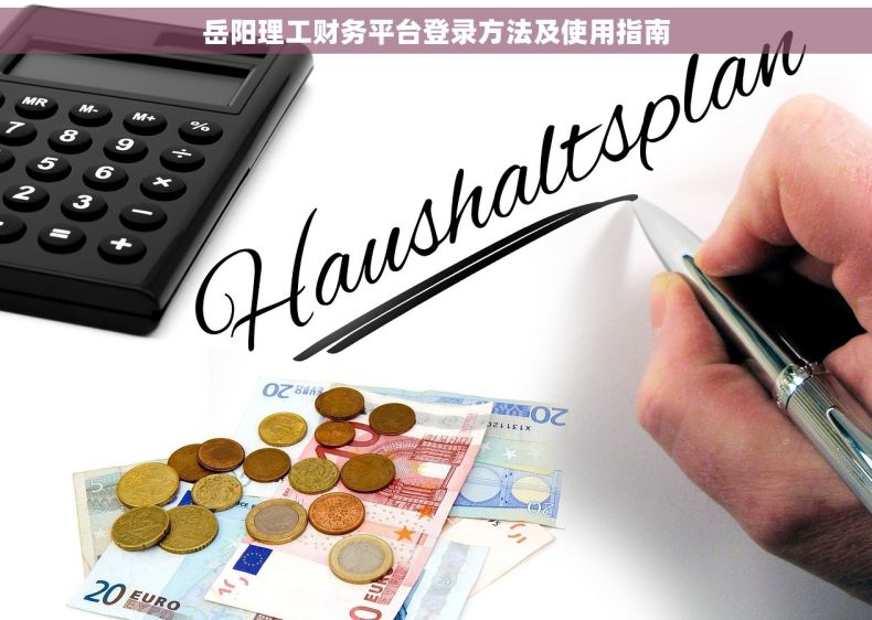 岳阳理工财务平台登录方法及使用指南