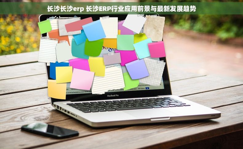 长沙长沙erp 长沙ERP行业应用前景与最新发展趋势