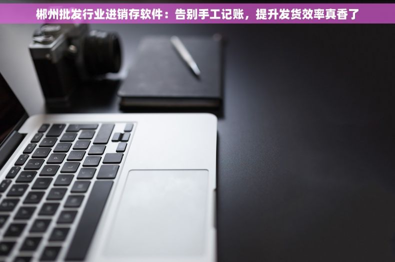郴州批发行业进销存软件：告别手工记账，提升发货效率真香了