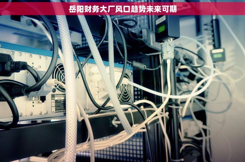 岳阳财务大厂风口趋势未来可期