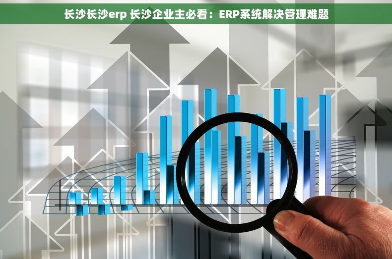 长沙长沙erp 长沙企业主必看：ERP系统解决管理难题