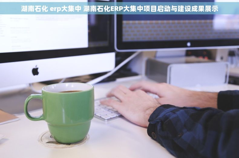 湖南石化 erp大集中 湖南石化ERP大集中项目启动与建设成果展示