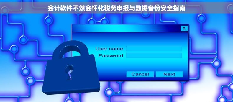 会计软件不然会怀化税务申报与数据备份安全指南