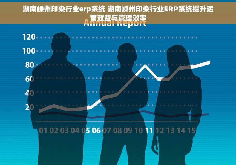 湖南嵊州印染行业erp系统 湖南嵊州印染行业ERP系统提升运营效益与管理效率
