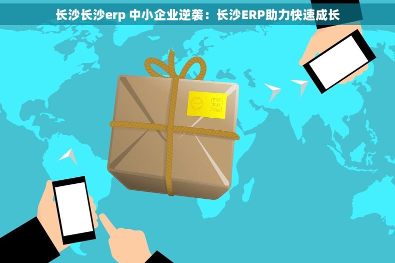 长沙长沙erp 中小企业逆袭：长沙ERP助力快速成长