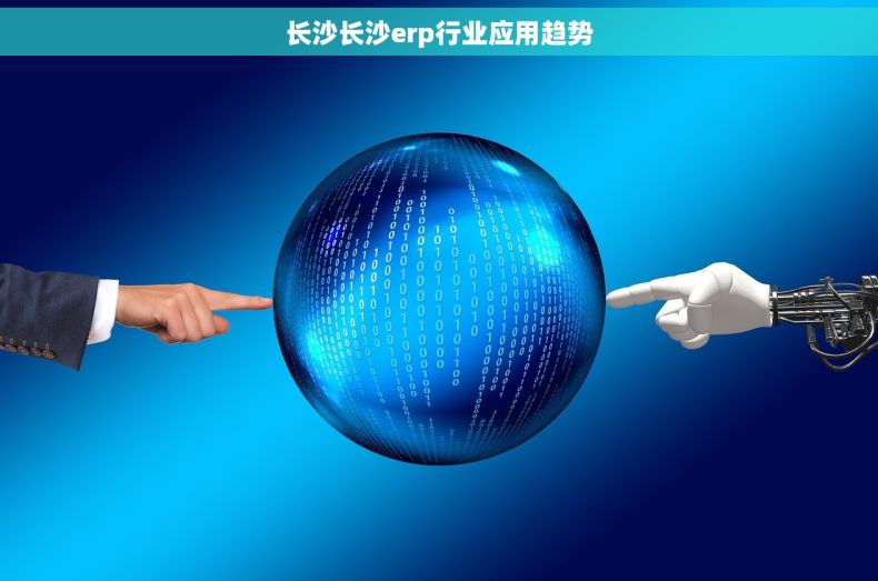 长沙长沙erp行业应用趋势