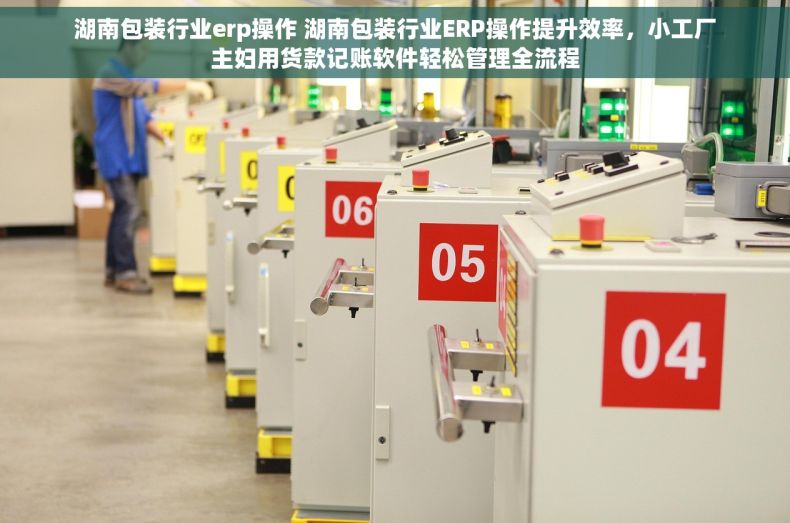 湖南包装行业erp操作 湖南包装行业ERP操作提升效率，小工厂主妇用货款记账软件轻松管理全流程