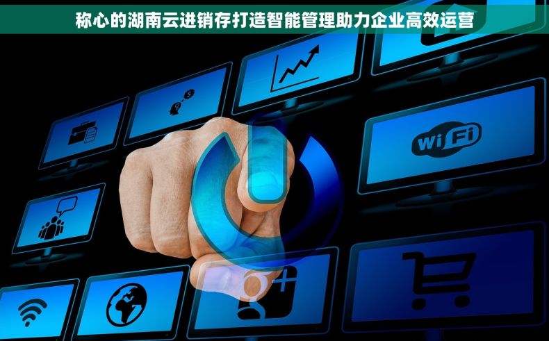 称心的湖南云进销存打造智能管理助力企业高效运营