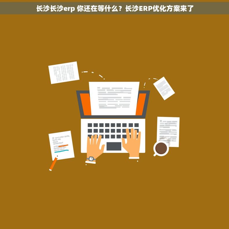 长沙长沙erp 你还在等什么？长沙ERP优化方案来了
