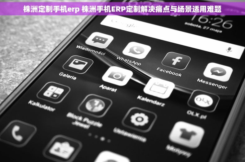 株洲定制手机erp 株洲手机ERP定制解决痛点与场景适用难题