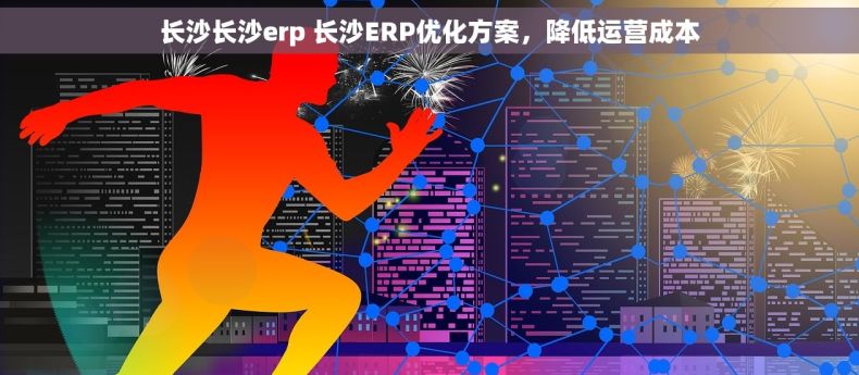 长沙长沙erp 长沙ERP优化方案，降低运营成本