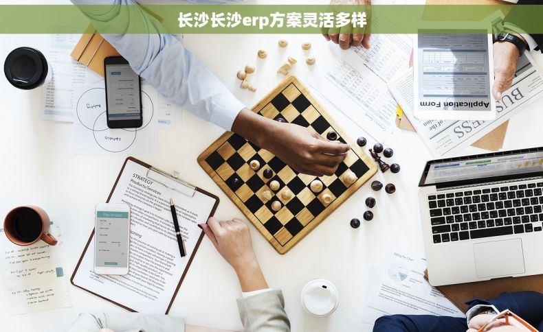 长沙长沙erp方案灵活多样