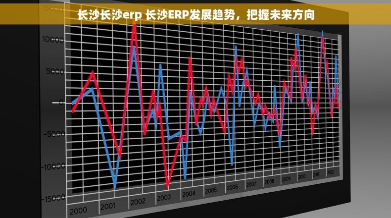 长沙长沙erp 长沙ERP发展趋势，把握未来方向