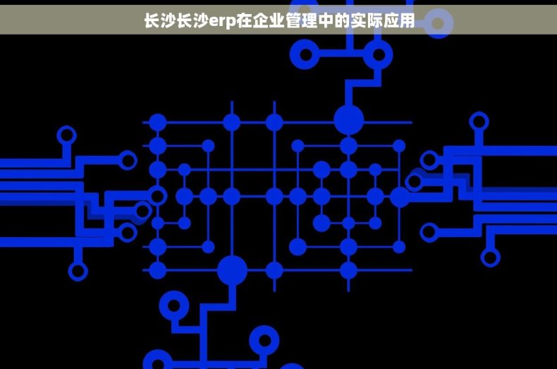 长沙长沙erp在企业管理中的实际应用