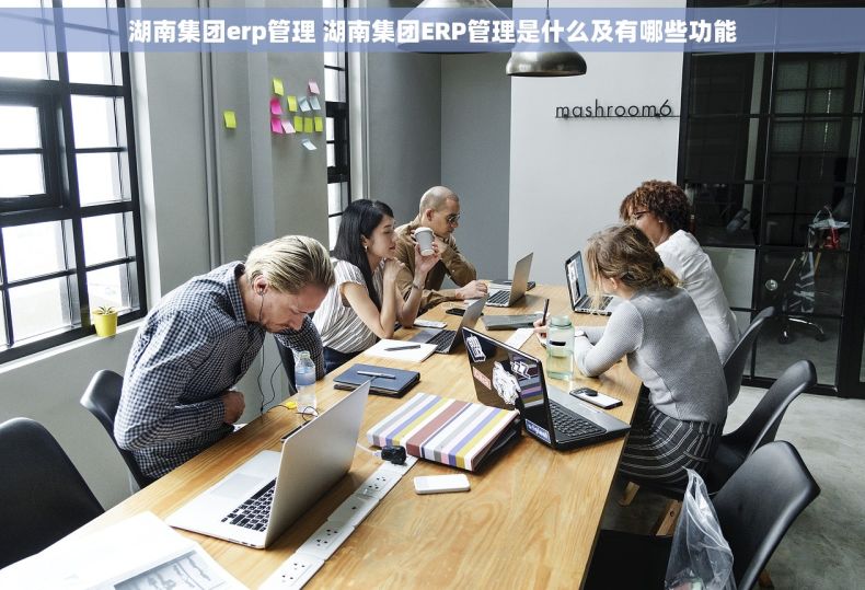 湖南集团erp管理 湖南集团ERP管理是什么及有哪些功能