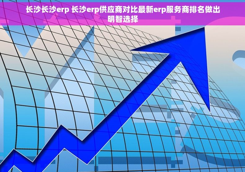 长沙长沙erp 长沙erp供应商对比最新erp服务商排名做出明智选择
