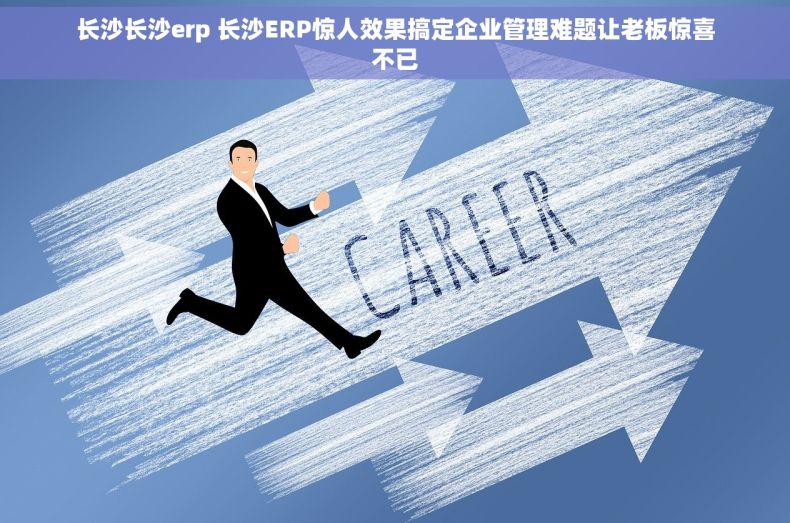 长沙长沙erp 长沙ERP惊人效果搞定企业管理难题让老板惊喜不已