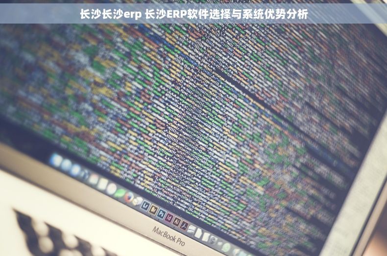 长沙长沙erp 长沙ERP软件选择与系统优势分析