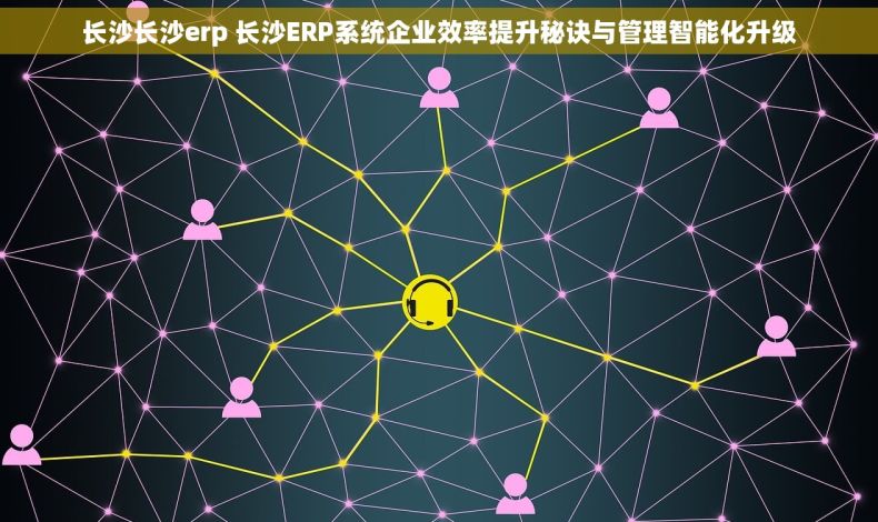 长沙长沙erp 长沙ERP系统企业效率提升秘诀与管理智能化升级