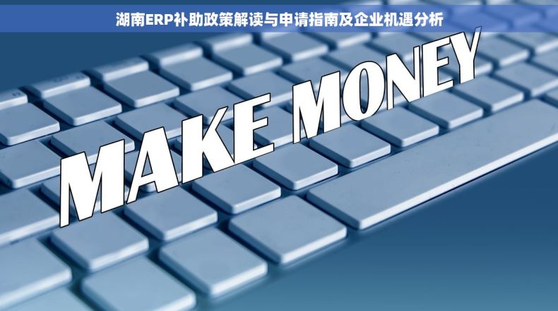 湖南ERP补助政策解读与申请指南及企业机遇分析