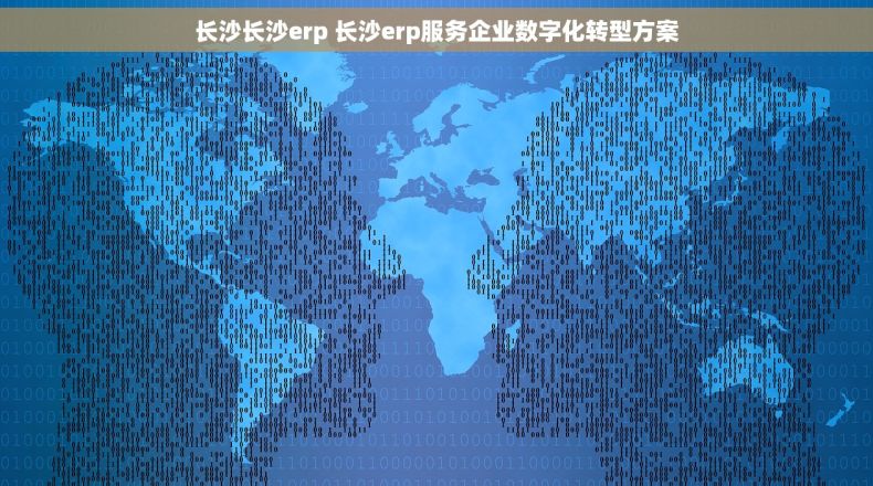 长沙长沙erp 长沙erp服务企业数字化转型方案