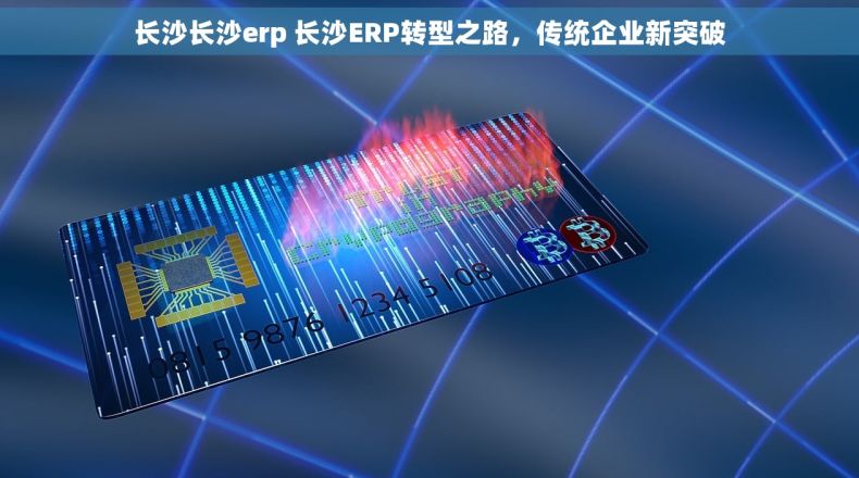 长沙长沙erp 长沙ERP转型之路，传统企业新突破