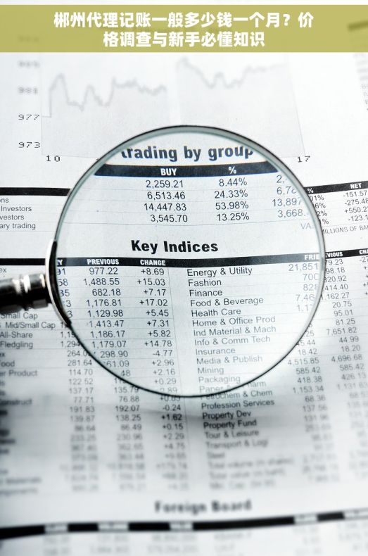 郴州代理记账一般多少钱一个月？价格调查与新手必懂知识